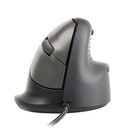 Icecat - R-Go Tools - 2