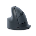 Icecat - R-Go Tools - 2