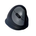 Icecat - R-Go Tools - 3