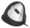 Icecat - R-Go Tools - 3