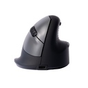 Icecat - R-Go Tools - 2