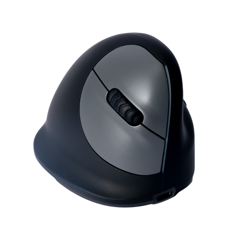 Icecat - R-Go Tools - 3