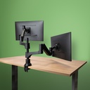 R-Go Tools Braccio porta monitor R-Go Caparo, braccio porta monitor doppio regolabile con molla a gas, capacità di carico 3-9 kg, nero